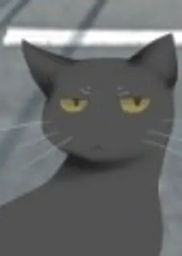黒猫