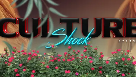 Culture Shock