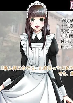 藤井 綾乃