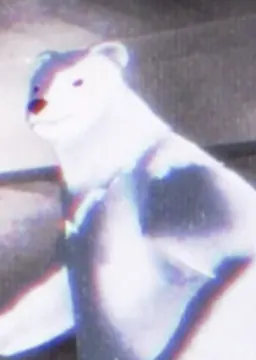 New Cyclops Serial Killer