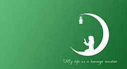 My Life as a Teenage Muslim