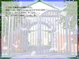 りとる・ばーど