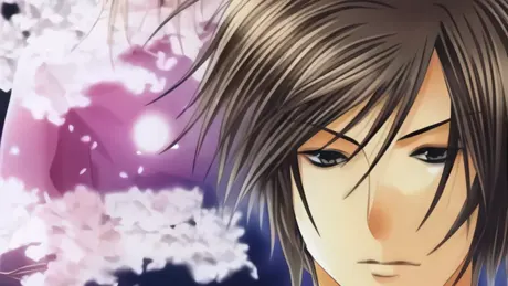 SHINSENGUMI～幕末幻想恋愛奇譚～