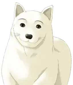 雅代