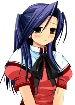 菊菱 花苗
