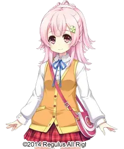 二宫四叶