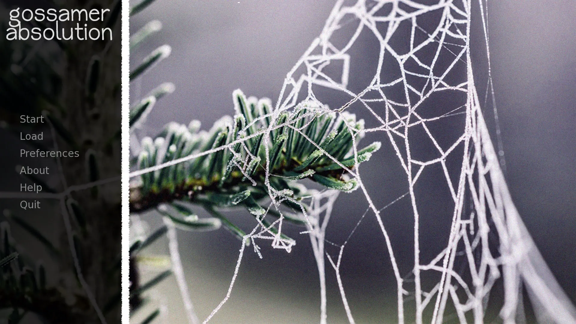 Gossamer Absolution