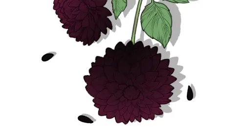 The Witches Saga: My Dahlia