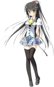 忍坂鸫
