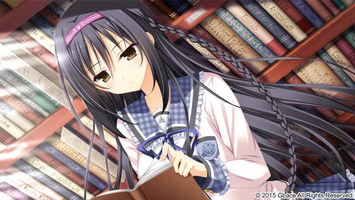 2e64b007