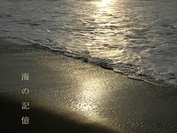 海的记忆