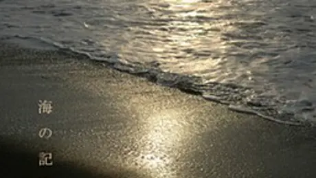 海の記憶