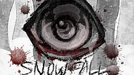 Snowfall