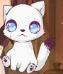 Popo