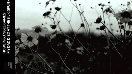 My Dad Died at the Silk-Spun Heath