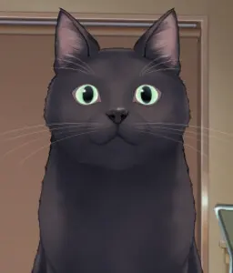 黒 猫
