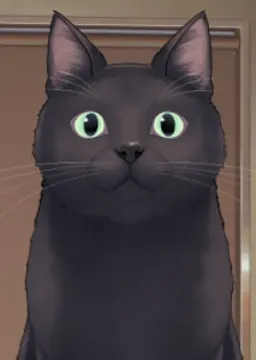黒 猫
