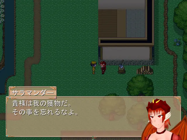 ドリューの幻想