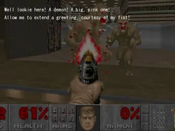 Diaries of the Doomguy