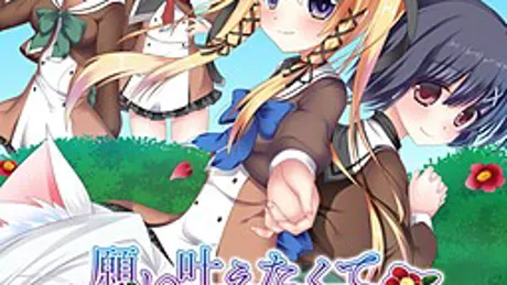 願い叶えたくて