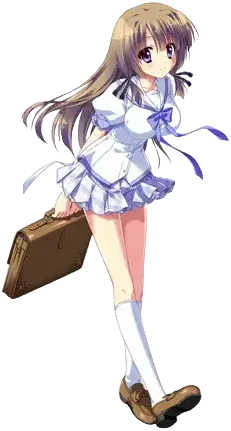 菱田菖蒲