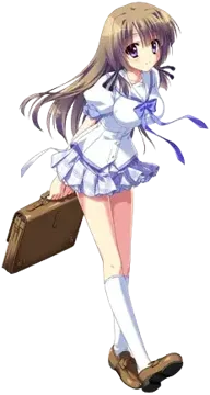 菱田菖蒲