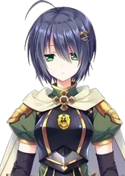ナッシュ=ジグムント
