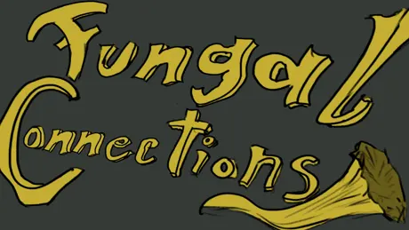 Fungal Connections