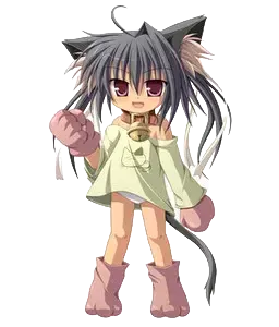 ねこんぬ