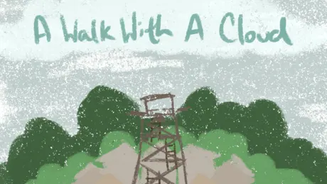 A Walk With A Cloud