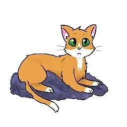 Ammy