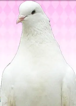 坂咲 優夜