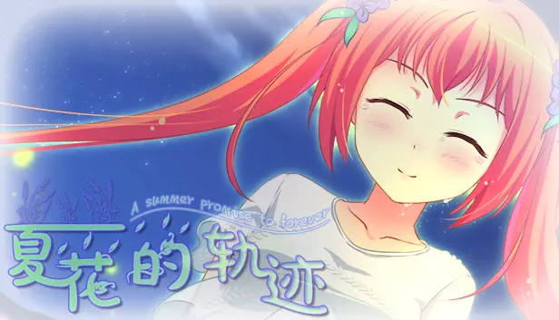 夏花的轨迹——A summer promise to forever