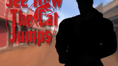 See How the Cat Jumps