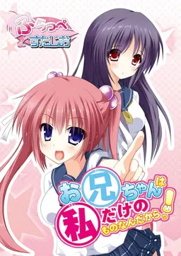 お兄ちゃんは私だけのものなんだからっ!!