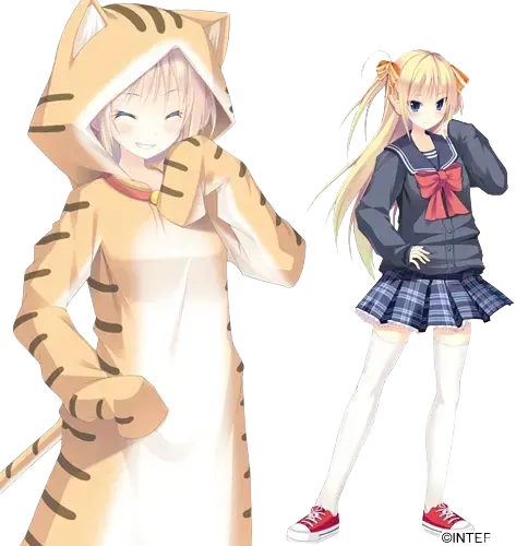佐伯 美波