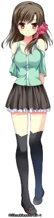 野和 芹香