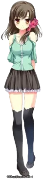 野和 芹香