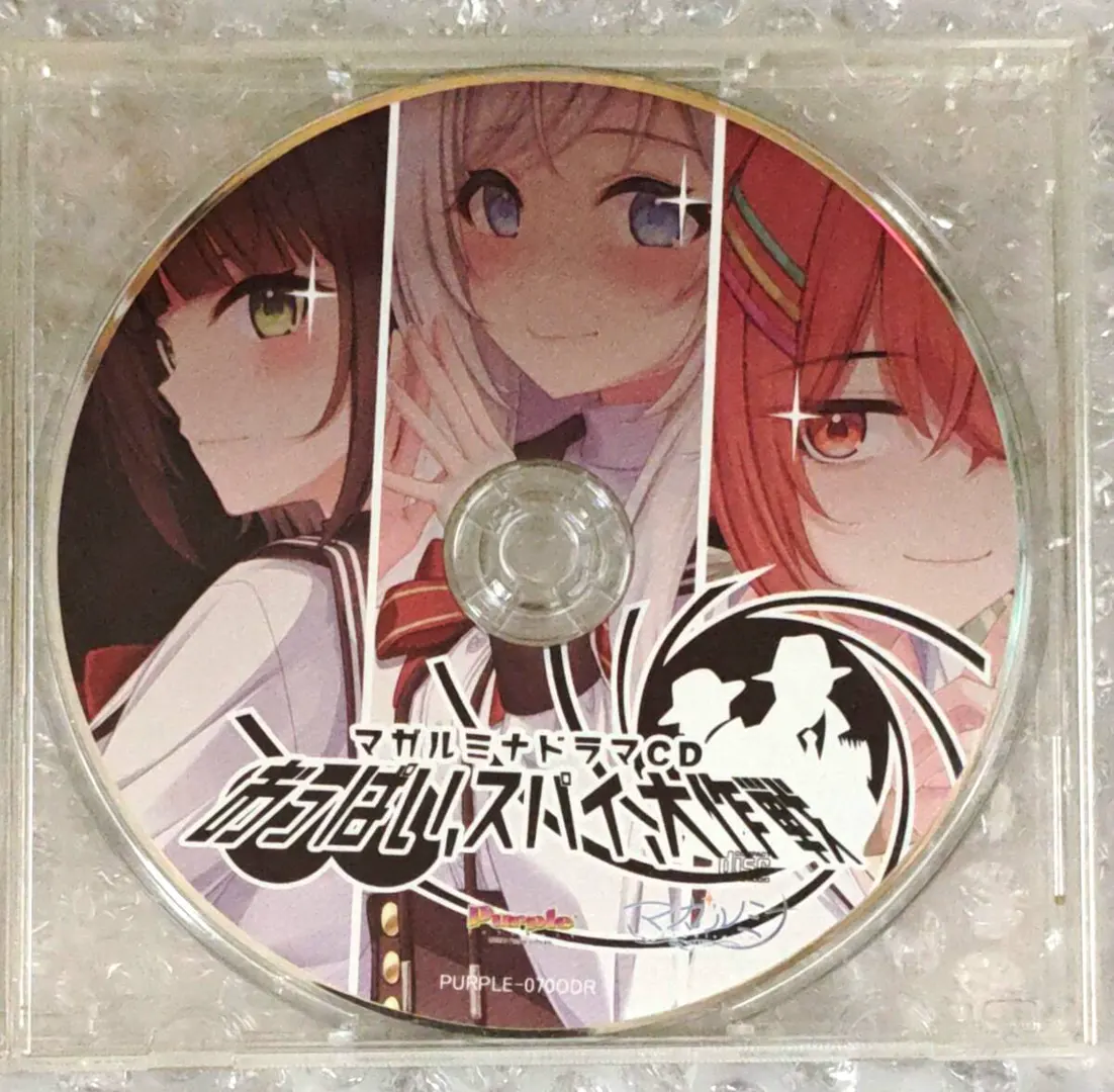 disc.jpg