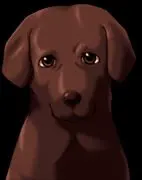 と一ま