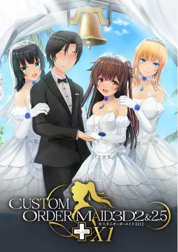 カスタムオーダーメイド3D2&2.5+ X1