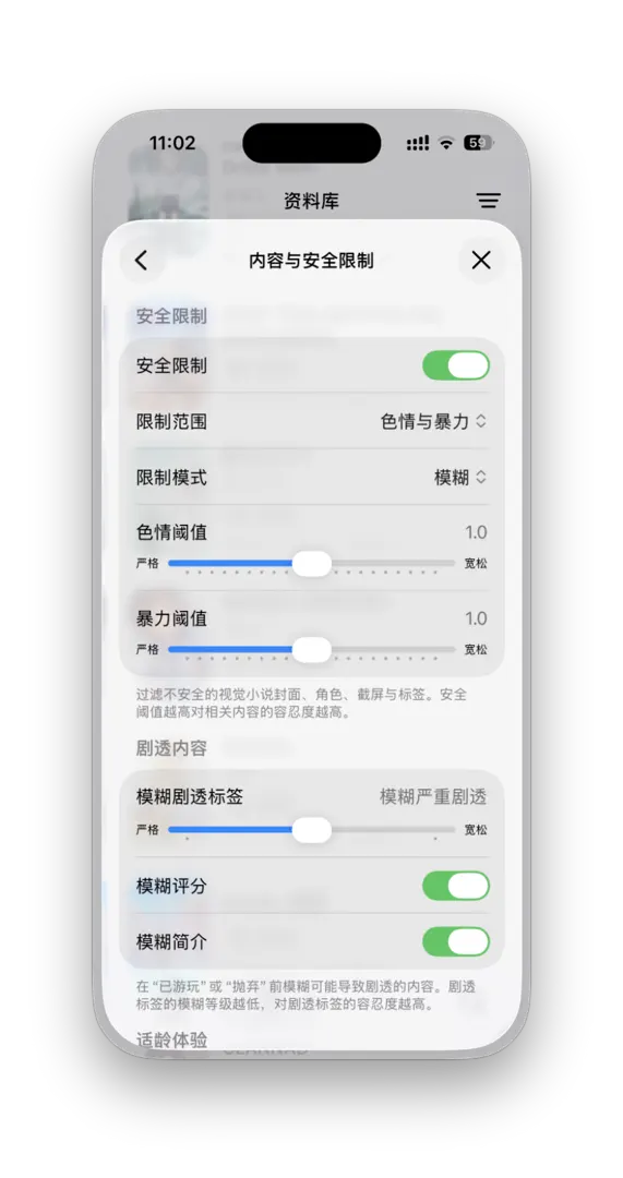 内容与安全限制页面