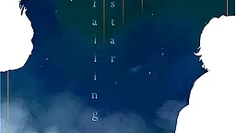 Falling Star
