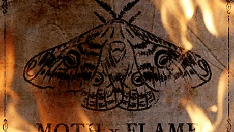 The Romance of the Moth and the Flame