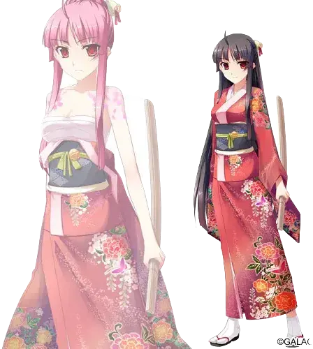 羽二重朝緋
