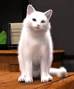 小猫