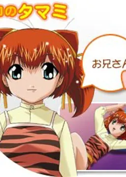 ネコのタマミ