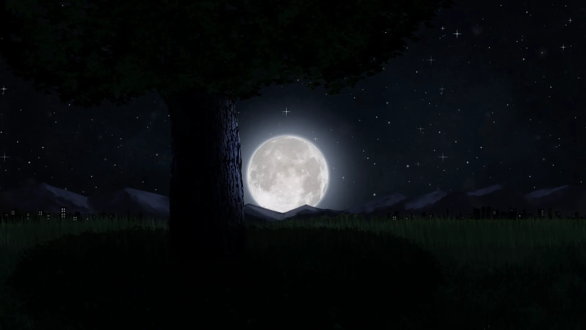 Moonlit Field
