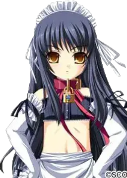 獅子王院姫