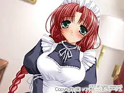 美雨